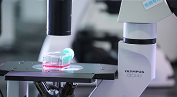 2025年2025澳门原料网站