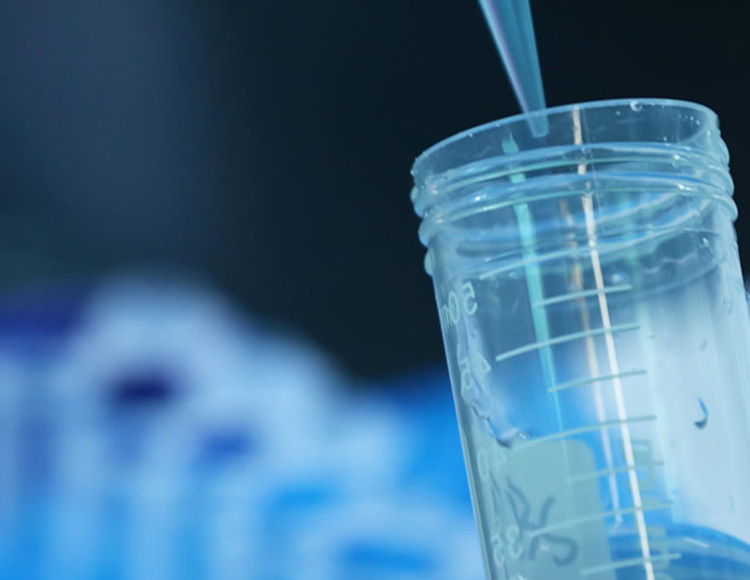 2025年2025澳门原料网站