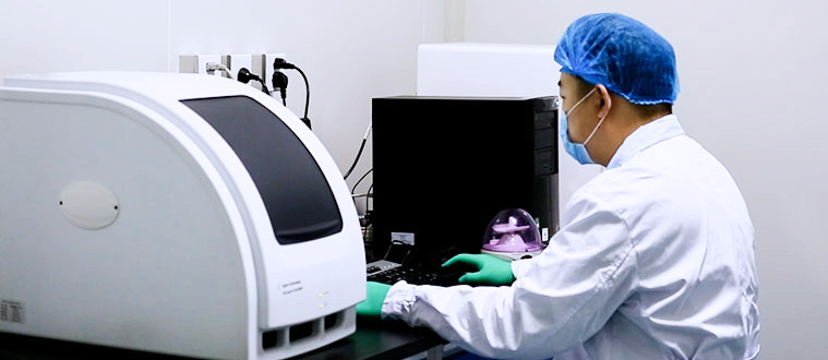 2025年2025澳门原料网站