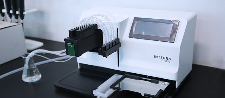 2025年2025澳门原料网站