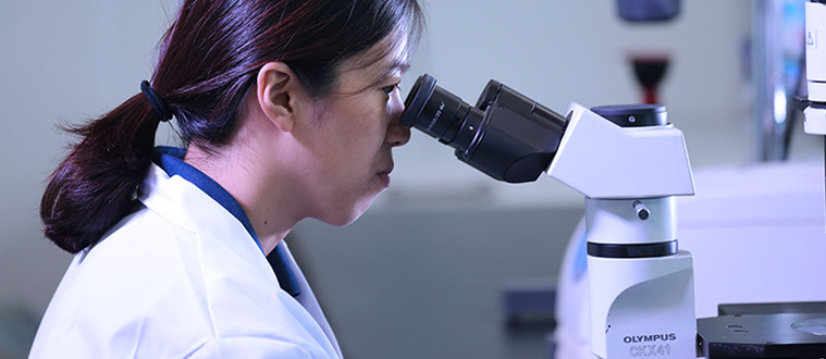 2025年2025澳门原料网站