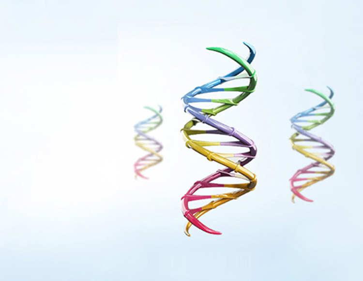 2025年2025澳门原料网站