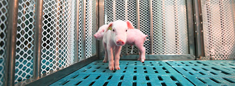 2025年2025澳门原料网站