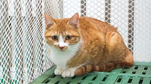 2025年2025澳门原料网站