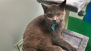 2025年2025澳门原料网站