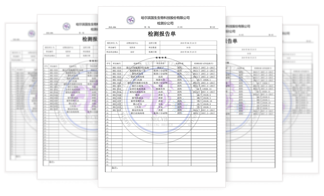 2025年2025澳门原料网站