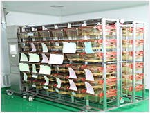 2025年2025澳门原料网站