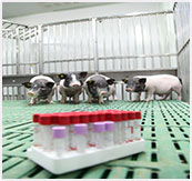 2025年2025澳门原料网站