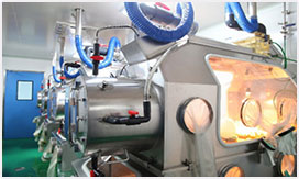 2025年2025澳门原料网站