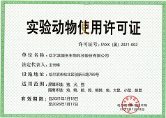 2025年2025澳门原料网站