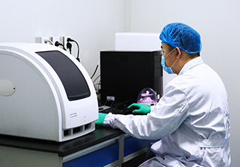 2025年2025澳门原料网站