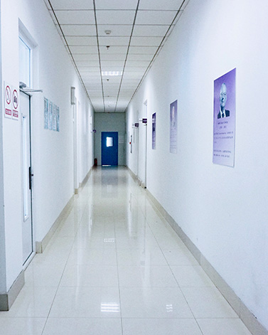 2025年2025澳门原料网站