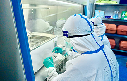 2025年2025澳门原料网站