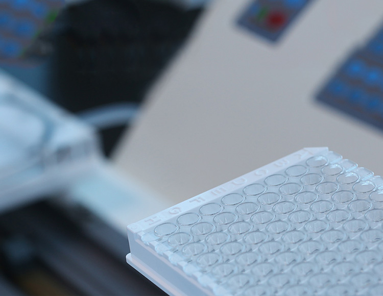 2025年2025澳门原料网站