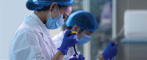 2025年2025澳门原料网站