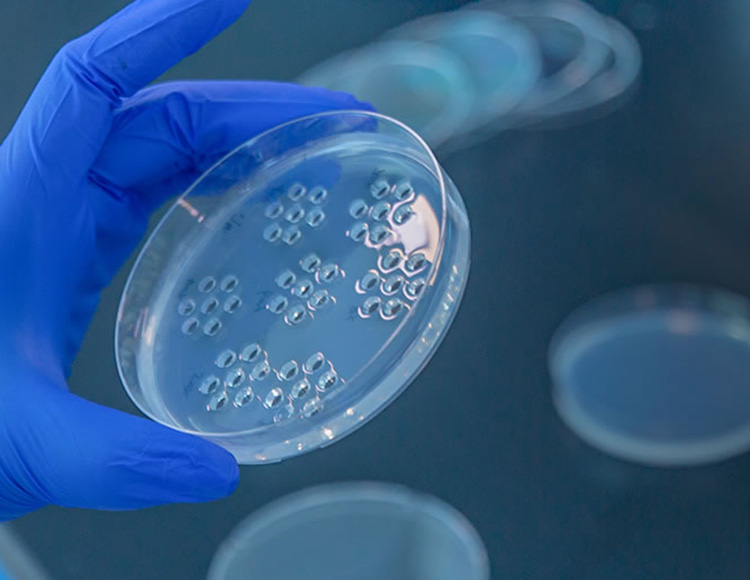 2025年2025澳门原料网站