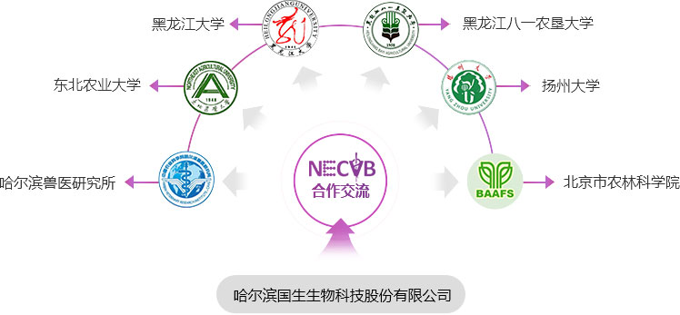 2025年2025澳门原料网站