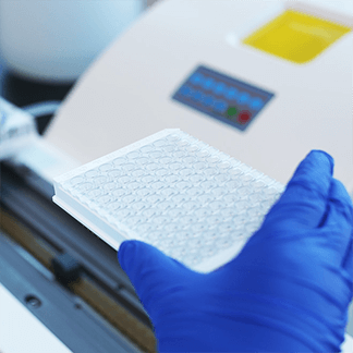 2025年2025澳门原料网站