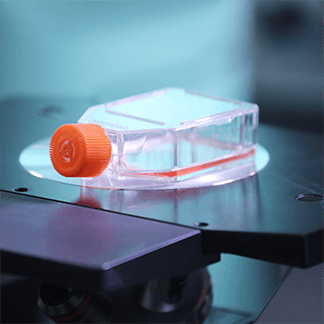 2025年2025澳门原料网站