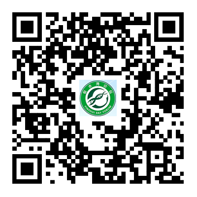 810cefad1e25832b2e02590bc783993e.png